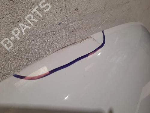 Hood MERCEDES-BENZ SPRINTER 3,5-t Van (B907, B910) 317 CDI RWD (907.631, 907.633, 907.635, 907.637) | BP30500954C1 