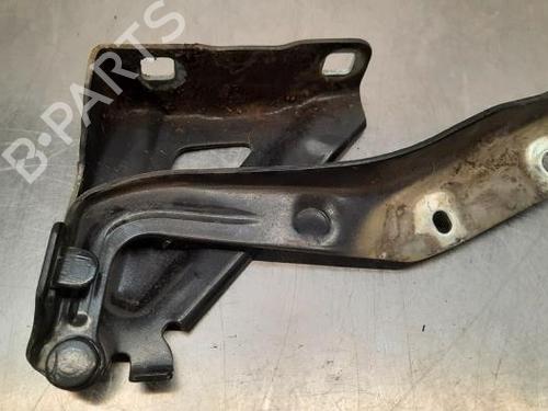 Hinge/Door check strap FIAT FIORINO Box Body/MPV (225_) 1.3 D Multijet | BP23598742C146 