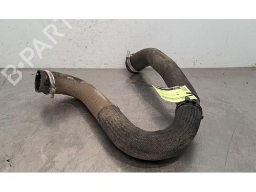 Used Intercooler pipe PEUGEOT EXPERT Van (V_) 1.5 BlueHDi 100 (102 hp) 24102341