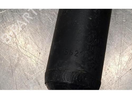 Venstre bagtil støddæmper RENAULT CLIO V (B7_) 1.0 TCe 90 (B7MT) | BP39154500M18 - Image 2