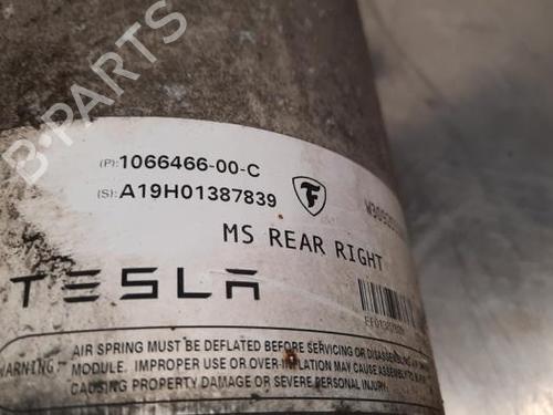 Right rear shock absorber TESLA MODEL S (5YJS) 100D AWD | BP23628338M19 