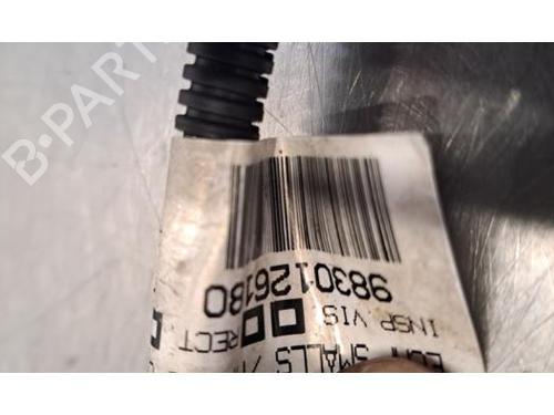 Electronic sensor PEUGEOT 208 II (UB_, UP_, UW_, UJ_) e-208 | BP29879315M84