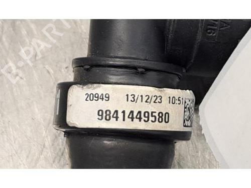 Pipe PEUGEOT 308 III (FB_, FH_, FP_, F3_, FM_) e-308 (FMZKWZ) | BP29984995M125