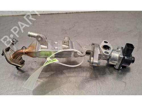 Egr RENAULT ARKANA I (LCM_, LDN_) 1.6 E-TECH 145 (LDMU) | BP29844491M69