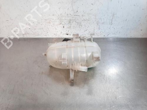 Expansion tank RENAULT TRAFIC III Van (FG_) 2.0 dCi 145 (FGML) | BP25610601C120 