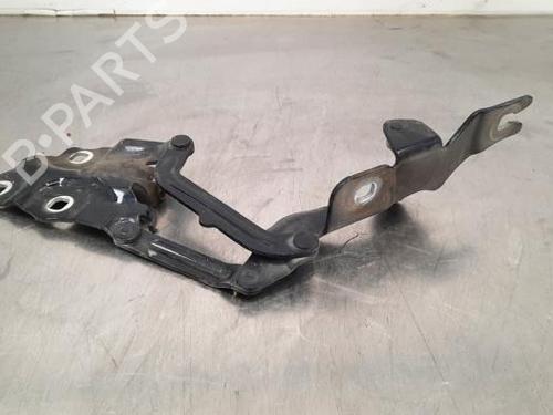 Used Hinge/Door check strap BMW X4 (F26) xDrive 20 d (190 hp) 19632110