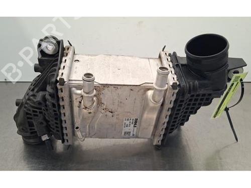 Intercooler VW CRAFTER Van (SY_, SX_) 2.0 TDI FWD (SYB, SYC, SYD) | BP31655723M30 