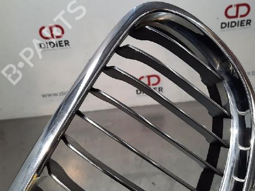 Grille BMW 3 (E90) 318 d | BP10887237C40 