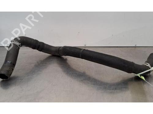 Used Pipe NISSAN QASHQAI III (J12) 1.3 DIG-T (140 hp) 30194965