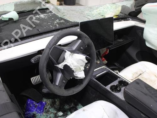 Dørliste TESLA MODEL Y (5YJY) EV Performance All-wheel Drive | BP34198250C150  - Image 12