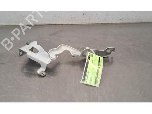 Used Hinge/Door check strap FIAT TALENTO Van (296_) 2.0 EcoJet (120 hp) 25750068