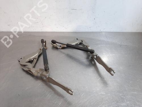 Hinge/Door check strap MINI MINI (R56) One 41007211639 | 41007211640