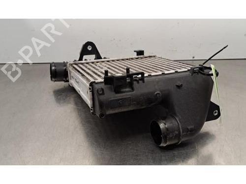 Intercooler DS DS 7 Crossback (J4_, JR_, JC_) PureTech 130 (JRHNSU) | BP31366436M30 