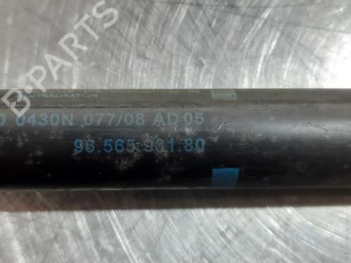 Tailgate lift support PEUGEOT 407 SW (6E_, 6D_) 1.6 HDi 110 | BP15037670C138 