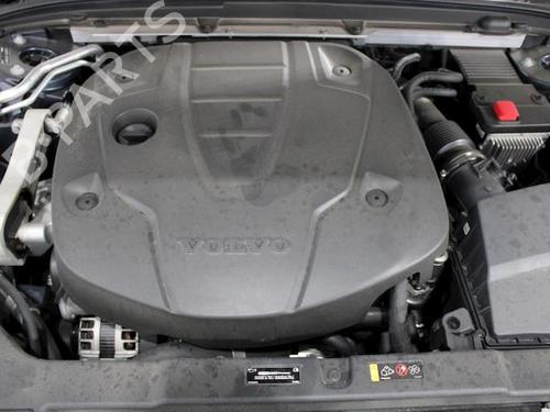 - Image 11