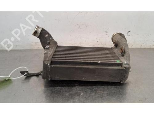 Intercooler AUDI A6 C6 (4F2) RS6 quattro | BP26701516M30 