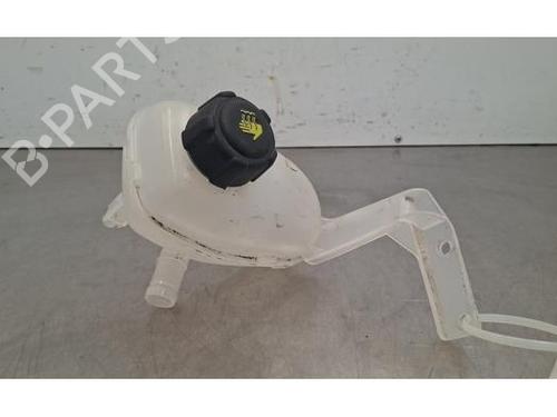 expansion-tank-renault-megane-e-tech-suv-2021-34408214 main image