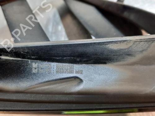 Other CITROËN C4 III (BA_, BB_, BC_) 1.2 PureTech 130 (BAHNSA, BAHNSB) | BP31162322O1