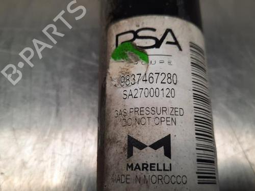 Left rear shock absorber OPEL CORSA F (P2JO) 1.2 (68) | BP23603605M18 
