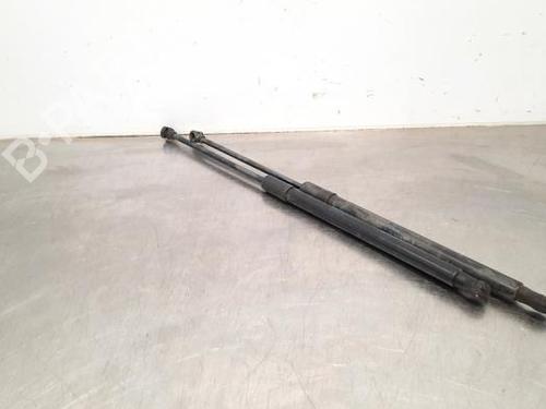 Used Tailgate lift support RENAULT CLIO V (B7_) 1.5 Blue dCi 85 (B7AG) (86 hp) 23582657