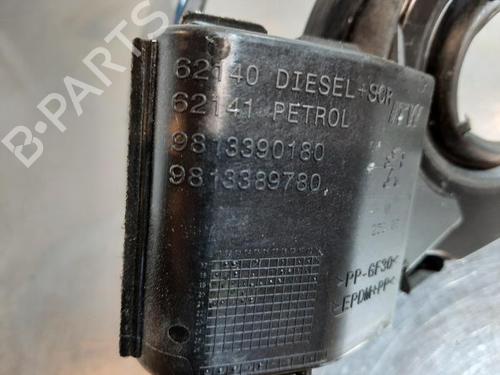 Fuel flap PEUGEOT 308 III (FB_, FH_, FP_, F3_, FM_) BlueHDi 130 (FBYHZL, FBYHZT) | BP25905491C131 
