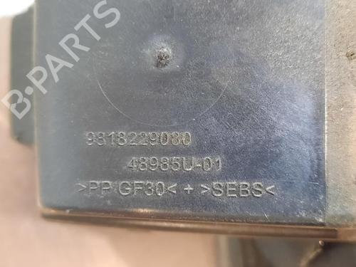 Fuel flap PEUGEOT 308 SW II (LC_, LJ_, LR_, LX_, L4_) 1.5 BlueHDi 130 | BP19632550C131