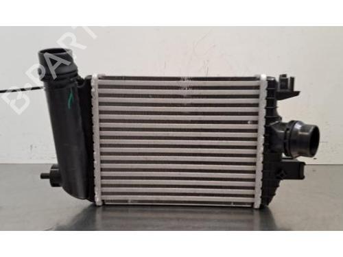 Used Intercooler Intercooler RENAULT ARKANA I (LCM_, LDN_) 1.3 TCe 160 (LDN1) (158 hp) 40284746 40284746