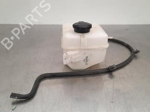 Used Expansion tank HYUNDAI i20 II (GB, IB) 1.1 CRDi (75 hp) 23595539