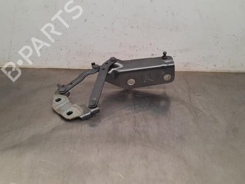 Used Hinge/Door check strap LAND ROVER DISCOVERY SPORT (L550) 2.0 D 4x4 (150 hp) 19689577