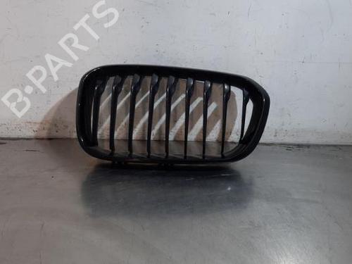 Used Grille Grille BMW 1 (F20) 118 i (136 hp) 40065953 40065953