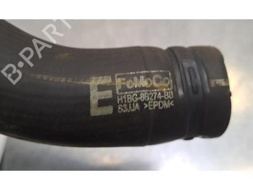 Pipe FORD FIESTA VII (HJ, HF) 1.0 EcoBoost | BP36169419M125 - Image 4