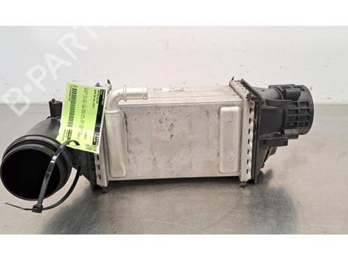 Intercooler AUDI Q3 (F3B) 35 TFSI Mild Hybrid (150 hp) 28719498