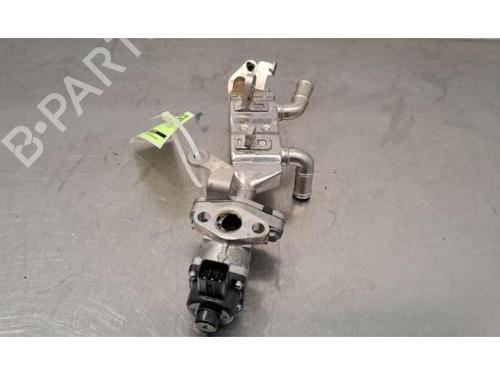 Egr RENAULT ARKANA I (LCM_, LDN_) 1.6 E-TECH 145 (LDMU) | BP29844491M69