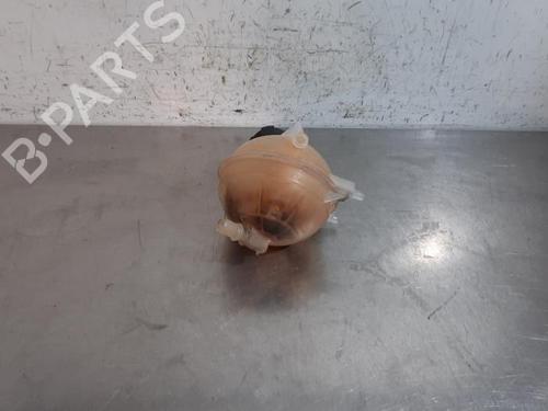 Used Expansion tank PEUGEOT EXPERT Van (VF3A_, VF3U_, VF3X_) 2.0 HDi 130 (128 hp) 29015986