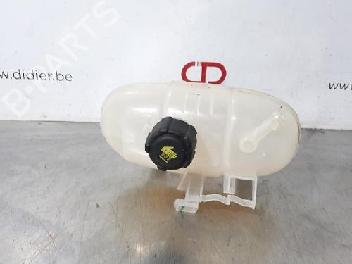 Used Expansion tank RENAULT TRAFIC III Van (FG_) 1.6 dCi 140 (FGMA, FGMC) (140 hp) 10883249