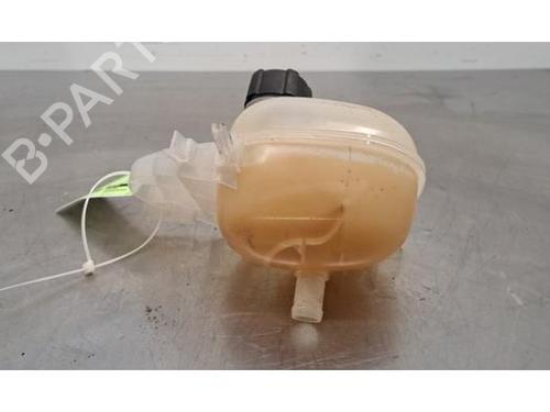 Expansion tank RENAULT TWINGO III (BCM_, BCA_) 1.0 SCe 70 | BP29600605C120 