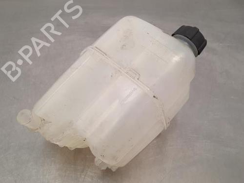 Expansion tank RENAULT KANGOO Express (FW0/1_) Z.E. (FW0Z, FW1Z) | BP23579466C120 