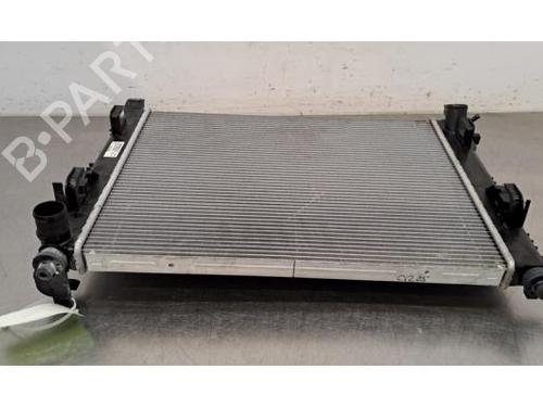 Water radiator DACIA DUSTER (HM_) 1.3 TCe 130 (HMMF) | BP30163686M31