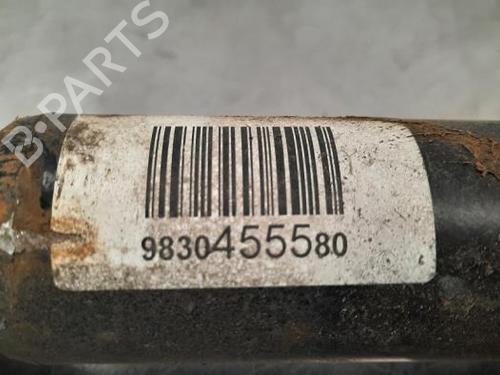 Left rear shock absorber PEUGEOT 308 SW III (FC_, FJ_, FR_, F4_, FN_) BlueHDi 130 (FCYHZL, FCYHZT) | BP23604252M18 