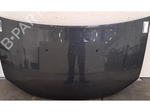 hood-dacia-sandero-ii-2012-39180000 main image