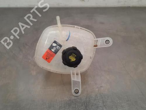Expansion tank NISSAN QASHQAI III (J12) 1.3 DIG-T 217106RN0A