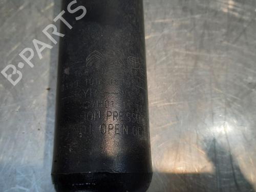 Left rear shock absorber PEUGEOT EXPERT Van (V_) 2.0 BlueHDi 120 | BP10894045M18 