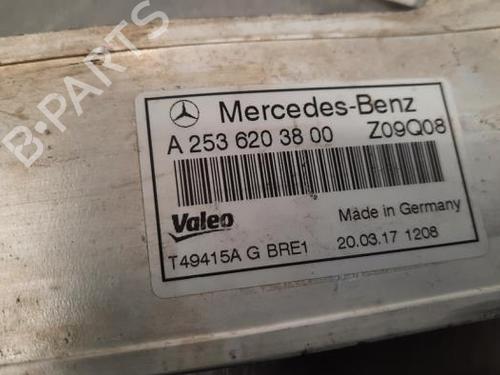 Support MERCEDES-BENZ GLC (X253) 250 d 4-matic (253.909) | BP23591152C155 