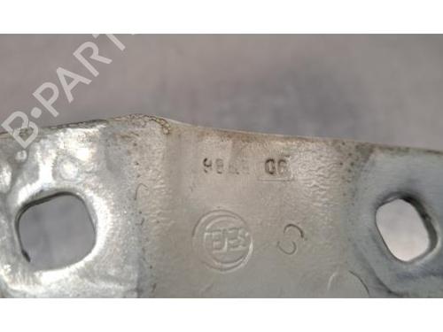 Hinge/Door check strap CITROËN JUMPER II Van 2.0 BlueHDi 130 | BP29817937C146 