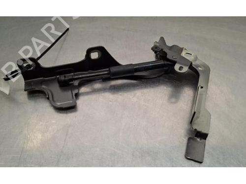 Used Hinge/Door check strap DS DS 7 Crossback (J4_, JR_, JC_) PureTech 130 (JRHNSU) (130 hp) 31366484