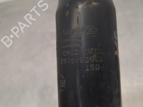 Left rear shock absorber CITROËN JUMPER II Van 2.2 HDi 120 | BP15293728M18 