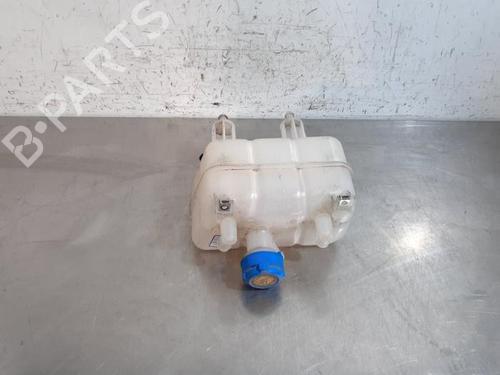 Used Expansion tank PEUGEOT BOXER Van 2.2 BlueHDi 165 (165 hp) 29055003