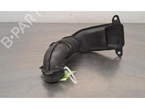 Pipe NISSAN JUKE (F16_) DIG-T 117 | BP29879472M125