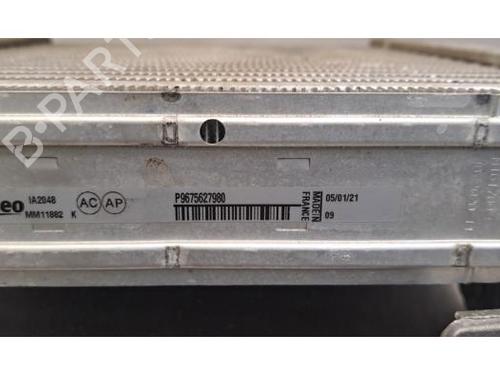 Intercooler DS DS 7 Crossback (J4_, JR_, JC_) E-TENSE 225 (J4DGZU, J45GQU) | BP36343422M30  - Image 5