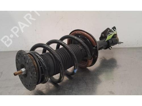Used Left front shock absorber RENAULT MASTER III Van (FV) 2.3 dCi 135 FWD (FV0N, FV08, FV06, FV00, FV1S) (136 hp) 29871881